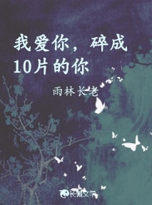 我爱你，碎成10片的你