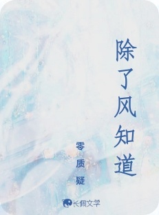 除了风知道