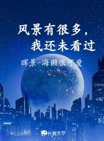 风景有很多，我还未看过_晖景-海獭很可爱著_长佩文学网