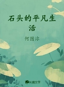 石头的平凡生活