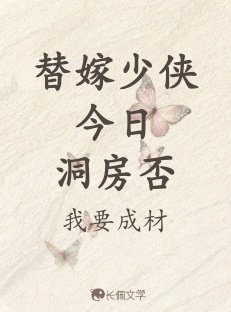 替嫁少侠今日洞房否