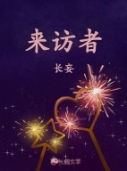 来访者