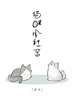 猫咪捡社畜
