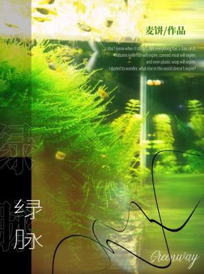 绿脉