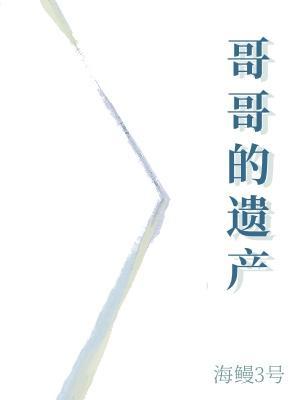 哥哥的遗产
