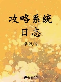 攻略系统日志