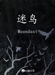迷鸟_Moondust著_长佩文学网