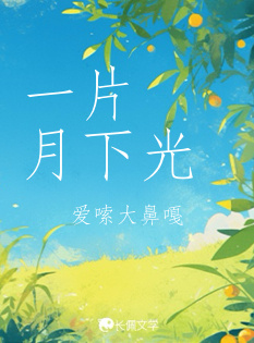 一片月下光