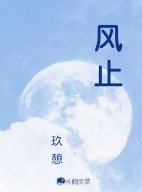 风止