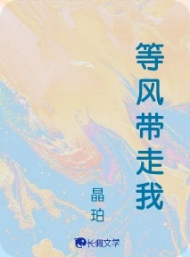 等风带走我