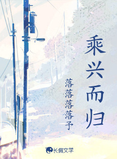 乘兴而归