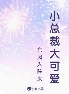 小总裁大可爱_东风入阵来著_长佩文学网