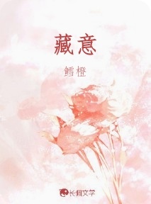 藏意