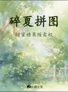 碎夏拼图