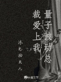 量子波动总裁爱上我
