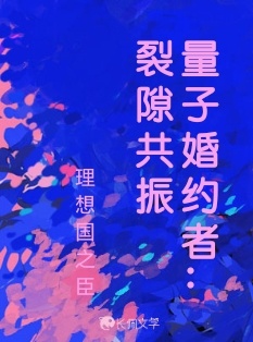 量子婚约者：裂隙共振