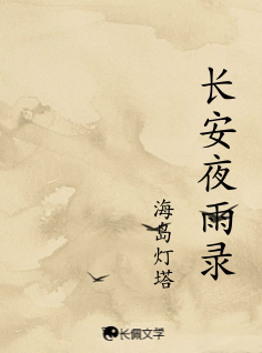 长安夜雨录