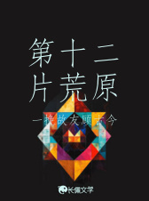 第十二片荒原