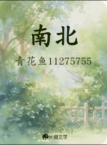 南北