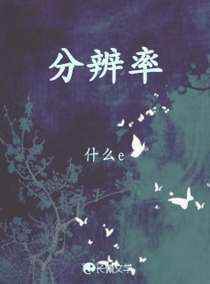 分辨率