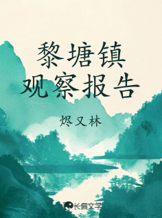 黎塘镇观察报告_烬又林著_长佩文学网