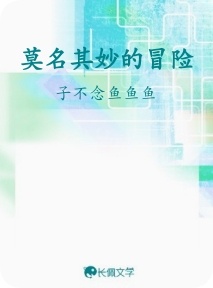 莫名其妙的冒险