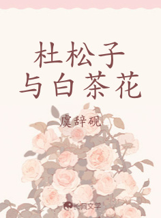杜松子与白茶花