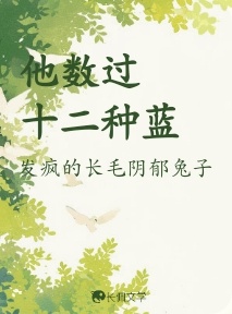 他数过十二种蓝