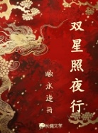双星照夜行