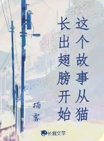 这个故事从猫长出翅膀开始