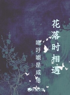 花落时相遇