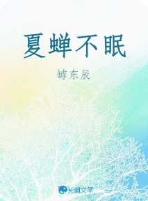 夏蝉不眠