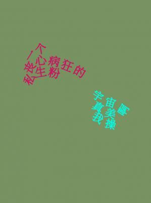 一个丧心病狂的私生粉