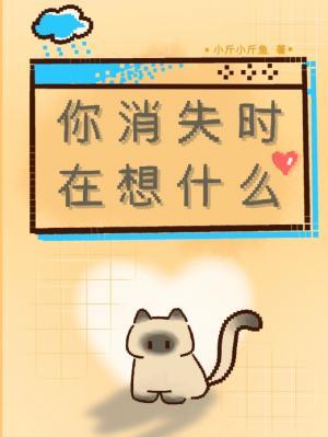 你消失时在想什么
