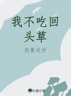 我不吃回头草