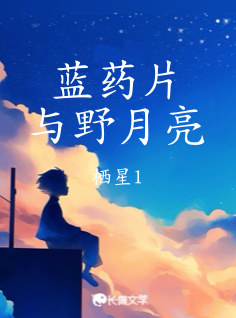 蓝药片与野月亮