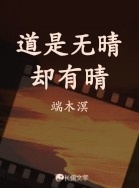 道是无晴却有晴