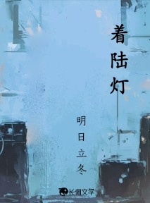 着陆灯