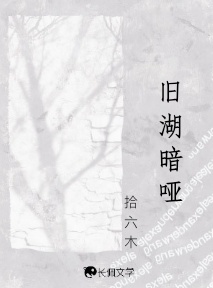 旧湖暗哑