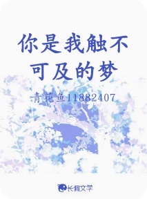 你是我触不可及的梦