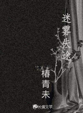 迷雾失途