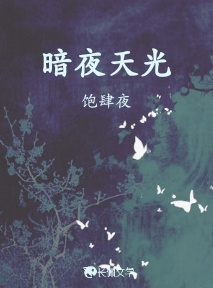 暗夜天光