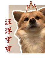 汪洋宇宙