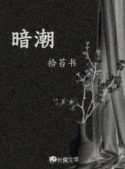 暗潮_拾苔书著_长佩文学网
