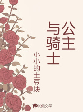 公主与骑士