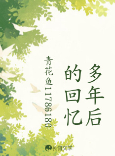 多年后的回忆.