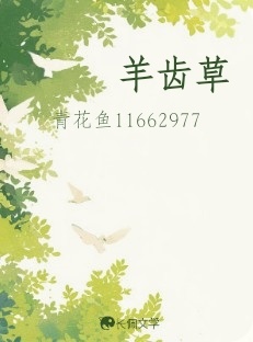羊齿草