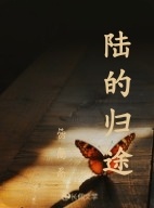 陆的归途