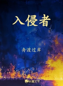 入侵者
