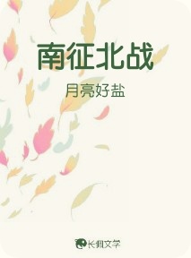 南征北战_月亮好盐著_长佩文学网